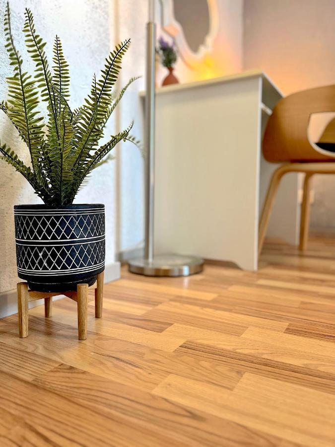 Elbling Apartment Mit Terrasse - Netflix - Parkplatz - Weinbergblick Meißen المظهر الخارجي الصورة